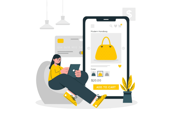E-Commerce Fraud Prevention Solutions for Retail